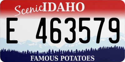 ID license plate E463579