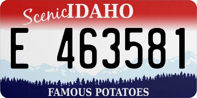 ID license plate E463581