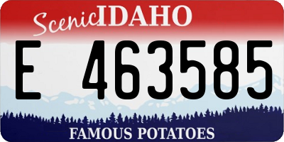 ID license plate E463585