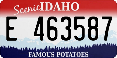 ID license plate E463587