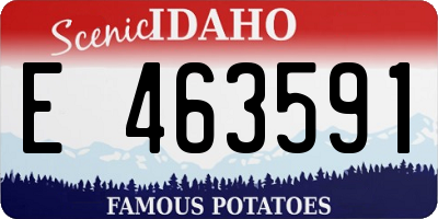 ID license plate E463591
