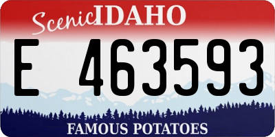ID license plate E463593