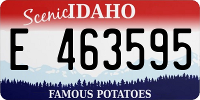 ID license plate E463595