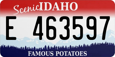ID license plate E463597