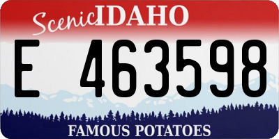 ID license plate E463598