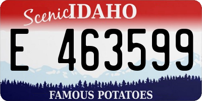ID license plate E463599