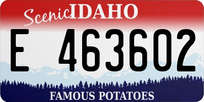 ID license plate E463602