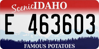 ID license plate E463603