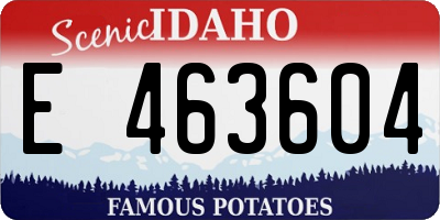 ID license plate E463604