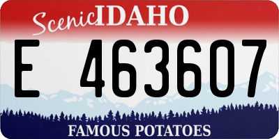 ID license plate E463607