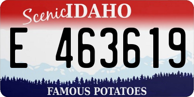 ID license plate E463619