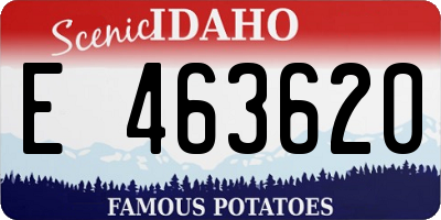 ID license plate E463620