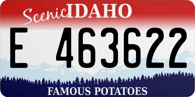 ID license plate E463622