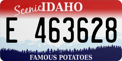 ID license plate E463628