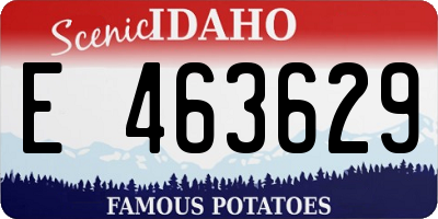 ID license plate E463629