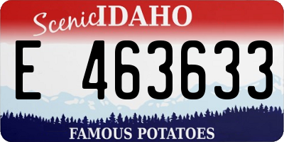 ID license plate E463633