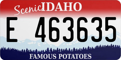 ID license plate E463635