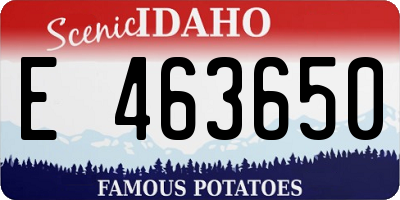 ID license plate E463650