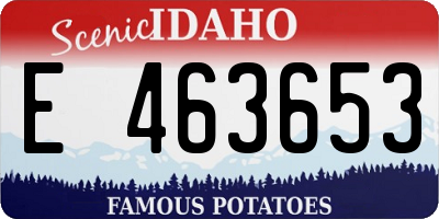 ID license plate E463653