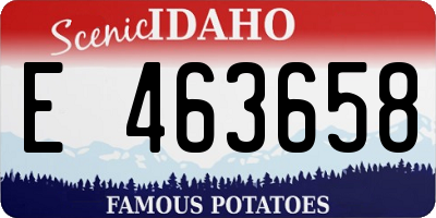 ID license plate E463658