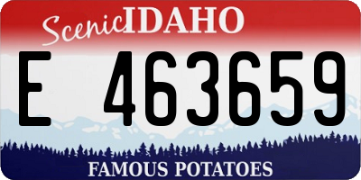 ID license plate E463659
