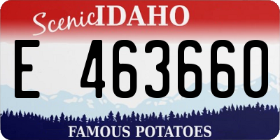 ID license plate E463660