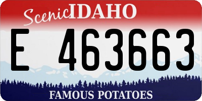 ID license plate E463663