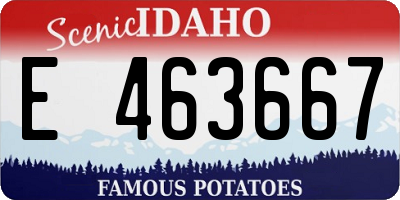 ID license plate E463667