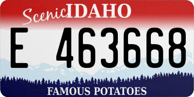 ID license plate E463668