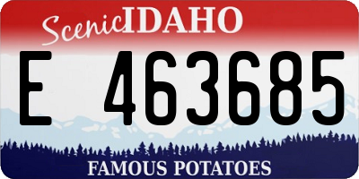 ID license plate E463685