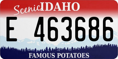 ID license plate E463686