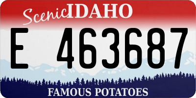 ID license plate E463687