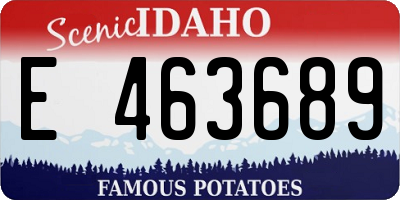 ID license plate E463689
