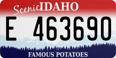 ID license plate E463690