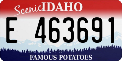 ID license plate E463691