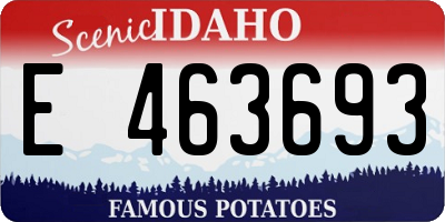 ID license plate E463693