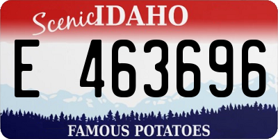 ID license plate E463696