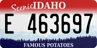 ID license plate E463697