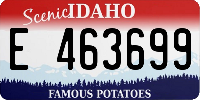 ID license plate E463699