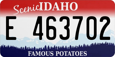 ID license plate E463702