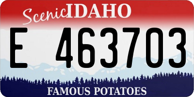 ID license plate E463703