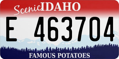 ID license plate E463704