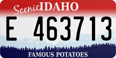 ID license plate E463713