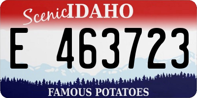 ID license plate E463723