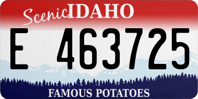 ID license plate E463725