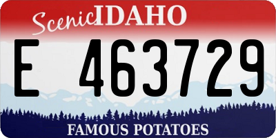 ID license plate E463729