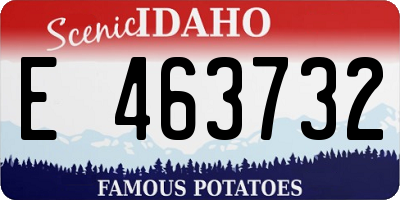 ID license plate E463732