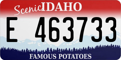 ID license plate E463733