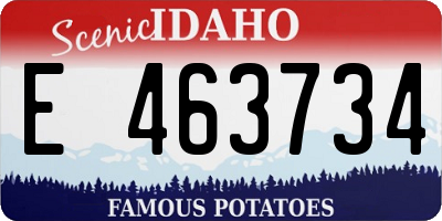 ID license plate E463734