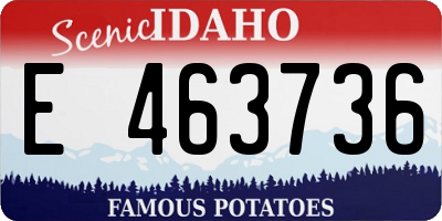 ID license plate E463736